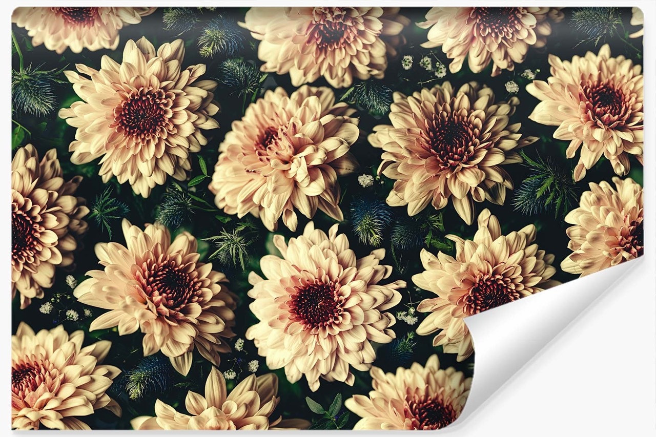 Fototapeta Kwiaty CHRYZANTEMY Vintage 3D 90x60cm