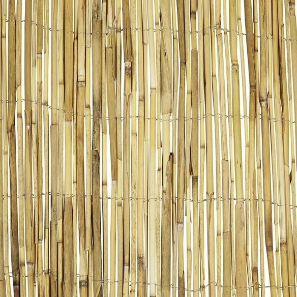 Sichtschutzmatte, Schilfrohr, LxH: 600 x 180 cm