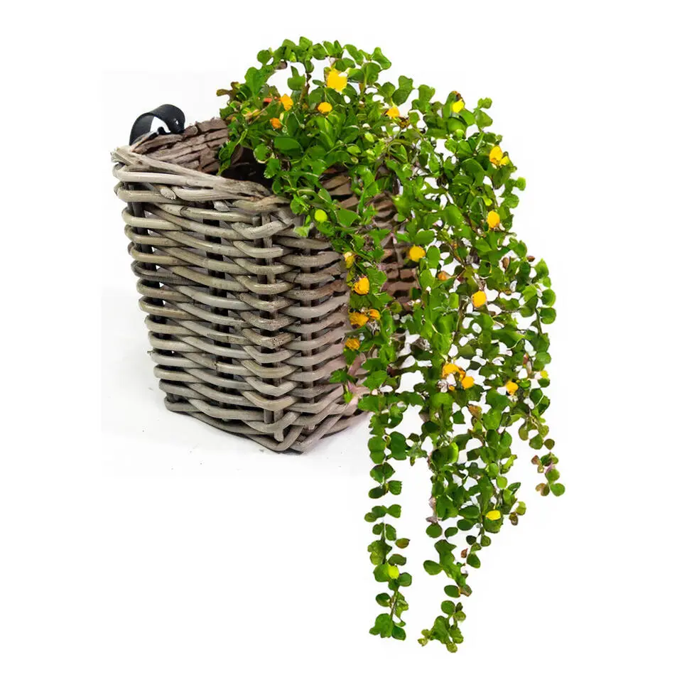 Van der Leeden Balkonmand - rotan gevlochten -15 x 15 x 15 cm