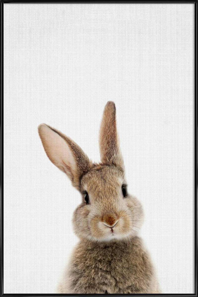 PRINT 315 - Affiche dans cadre standard (noir) blanc & marron 30x45