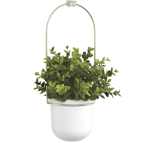 UMBRAdoniczki TRIFLORA - biały, złoty