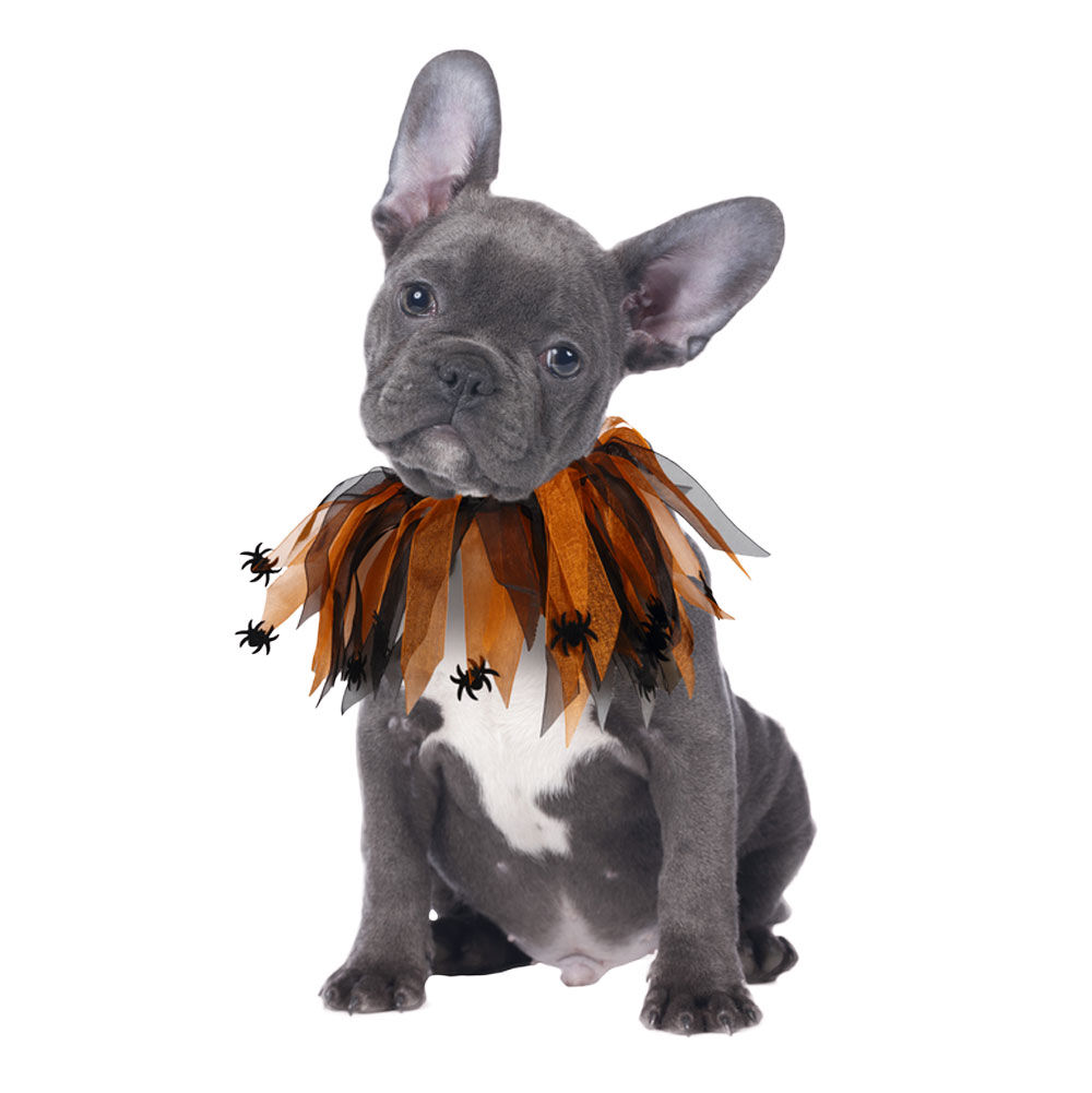 Collier pour chien Halloween franges orange avec araignées