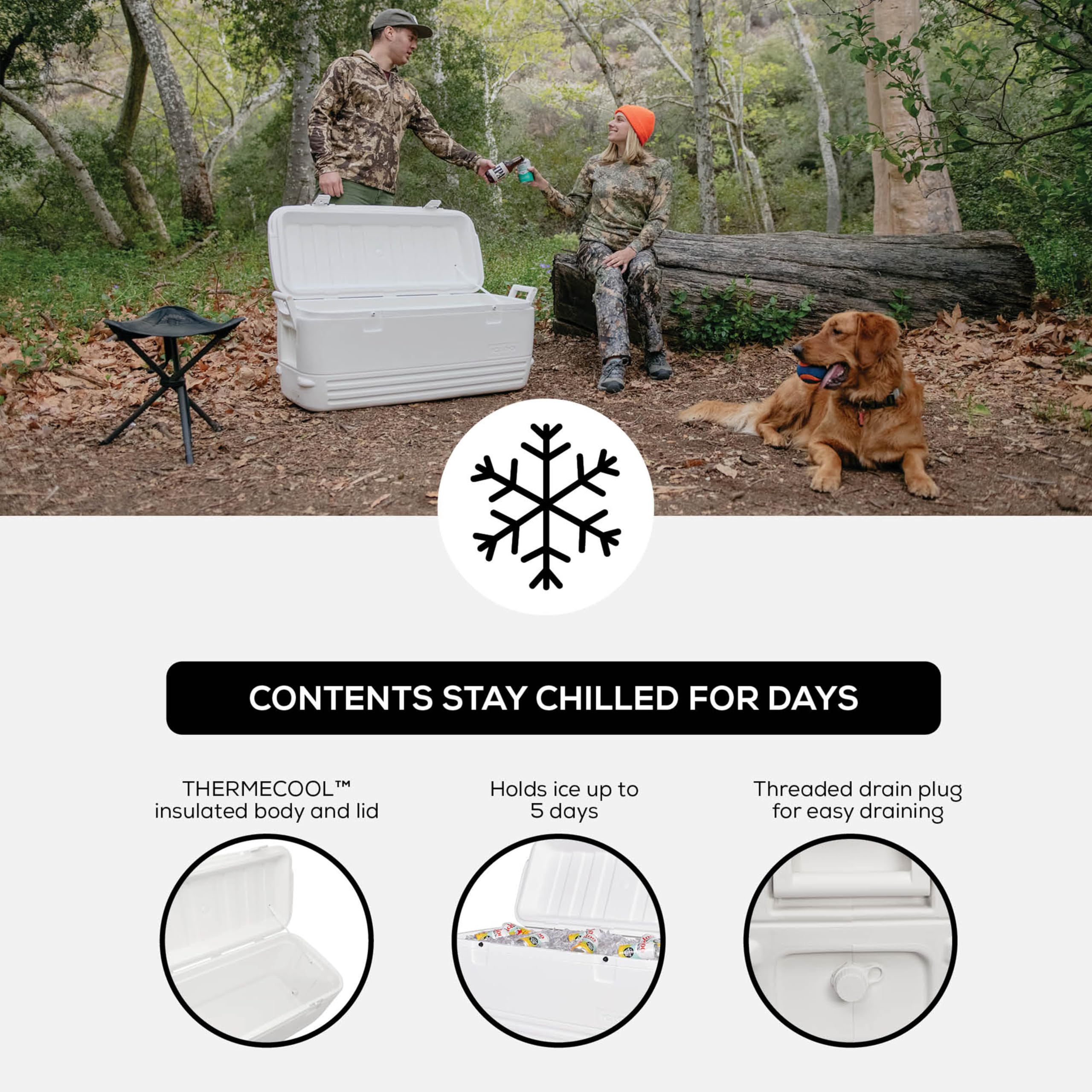 IGLOO Hard Cooler | Polar & Party Bar Insulated Ice Chest