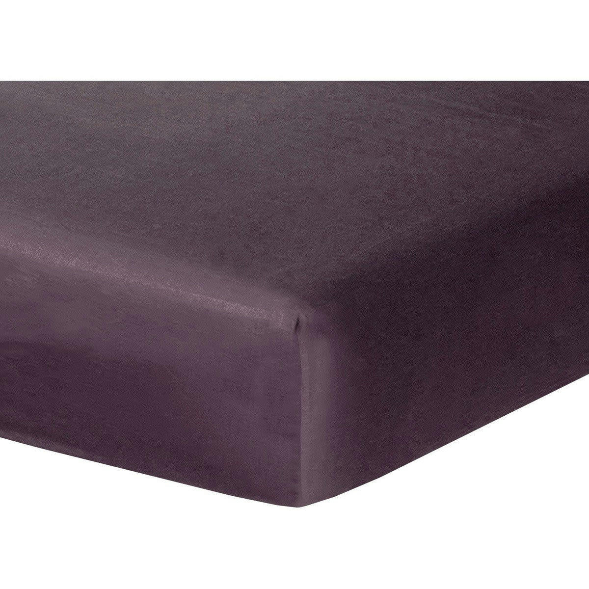 JULIA - Drap housse satin de coton  160x200x30 prune