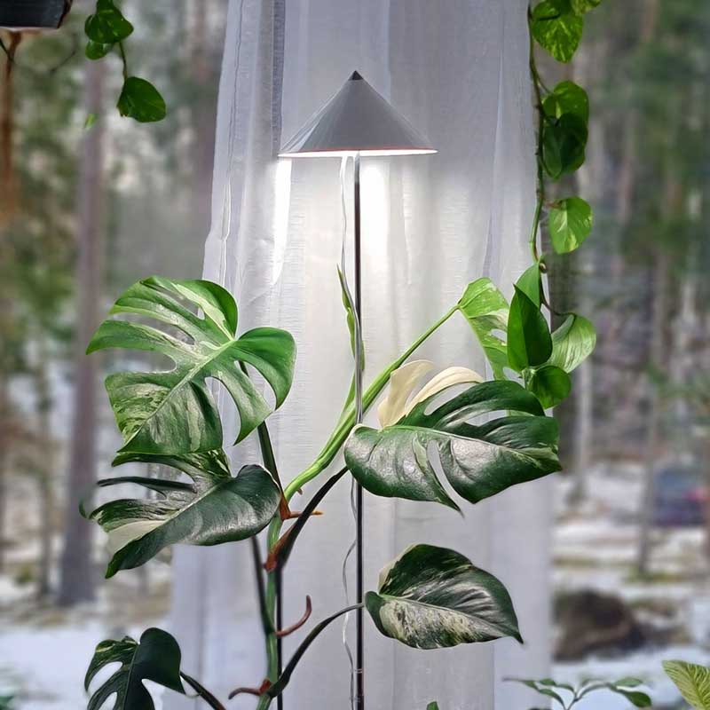 SunLite XL växtlampa med teleskopstativ, vit