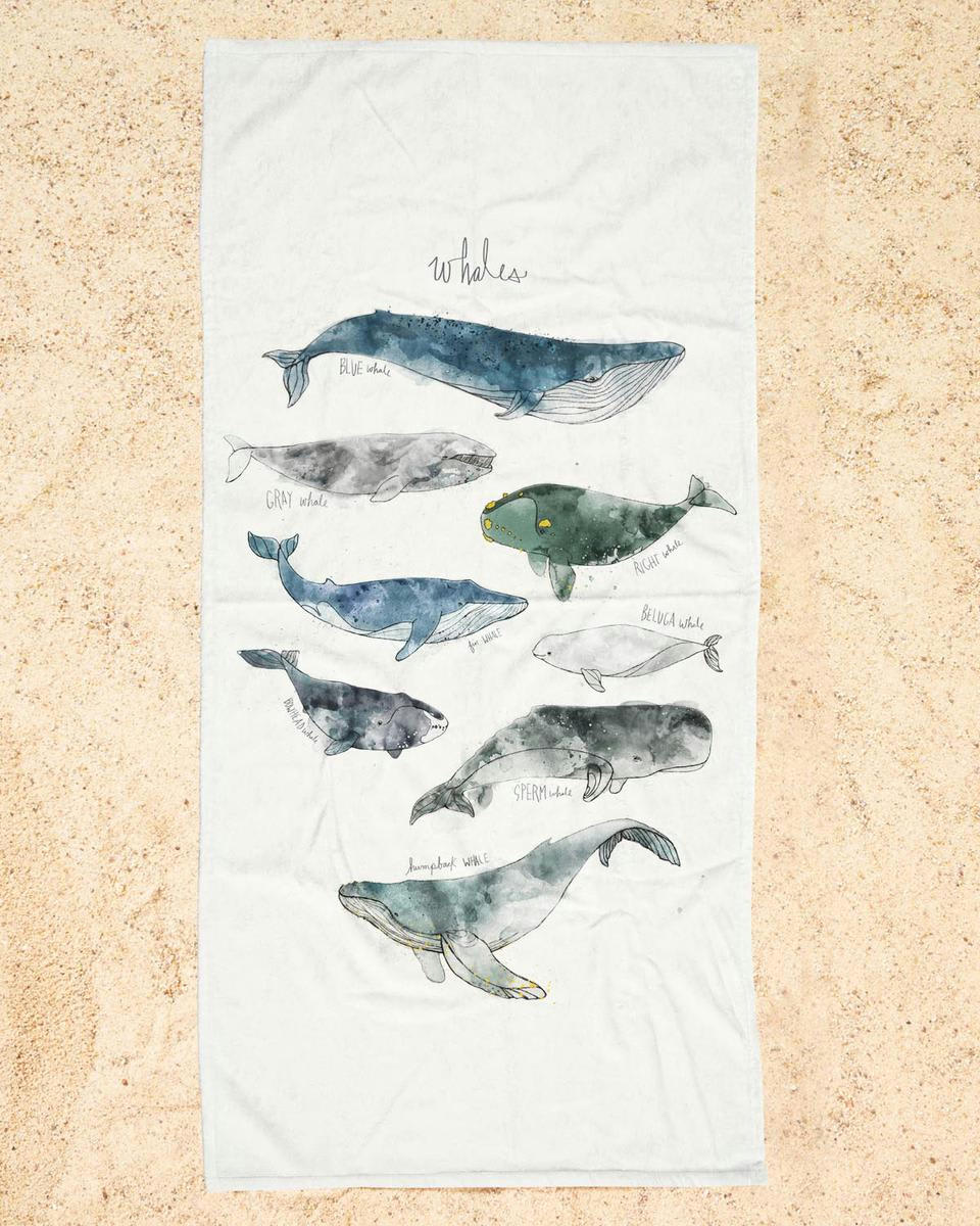 WHALES - Serviette de plage en éponge-velours en blanc ivoire & bleu 90x180