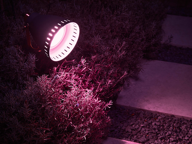 Żarówka LED E14 5,5W RGB Osram