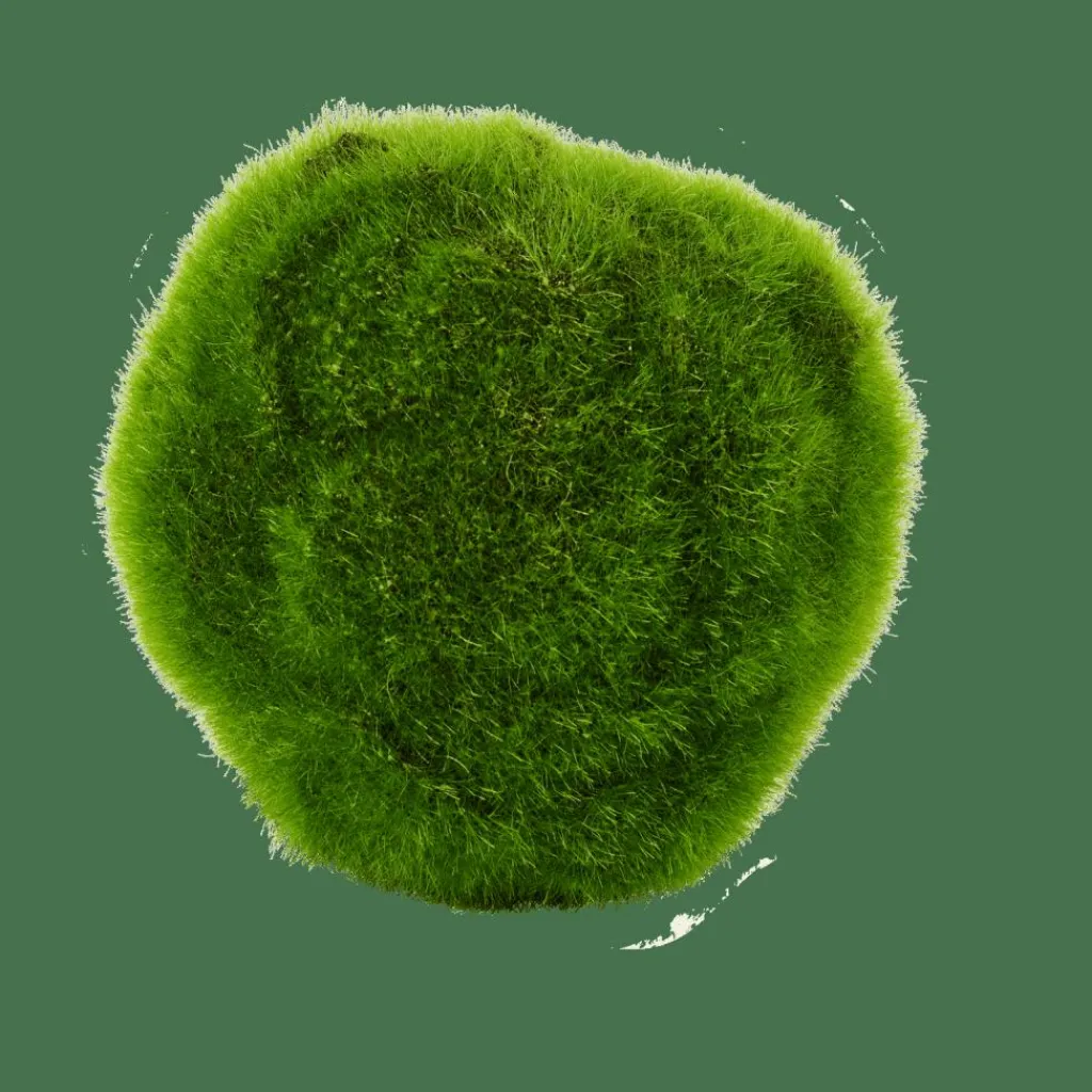 Plantes Artificielles^CASA MOSS Boule De Mousse Vert