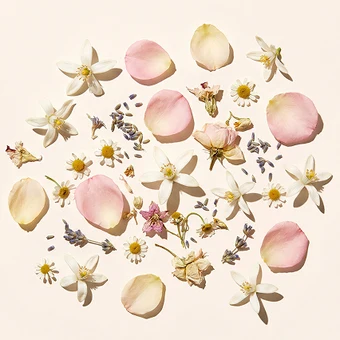Floral