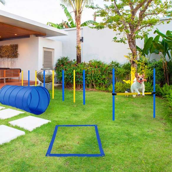 Agility Ausrüstung, gelb/blau, für Hunde