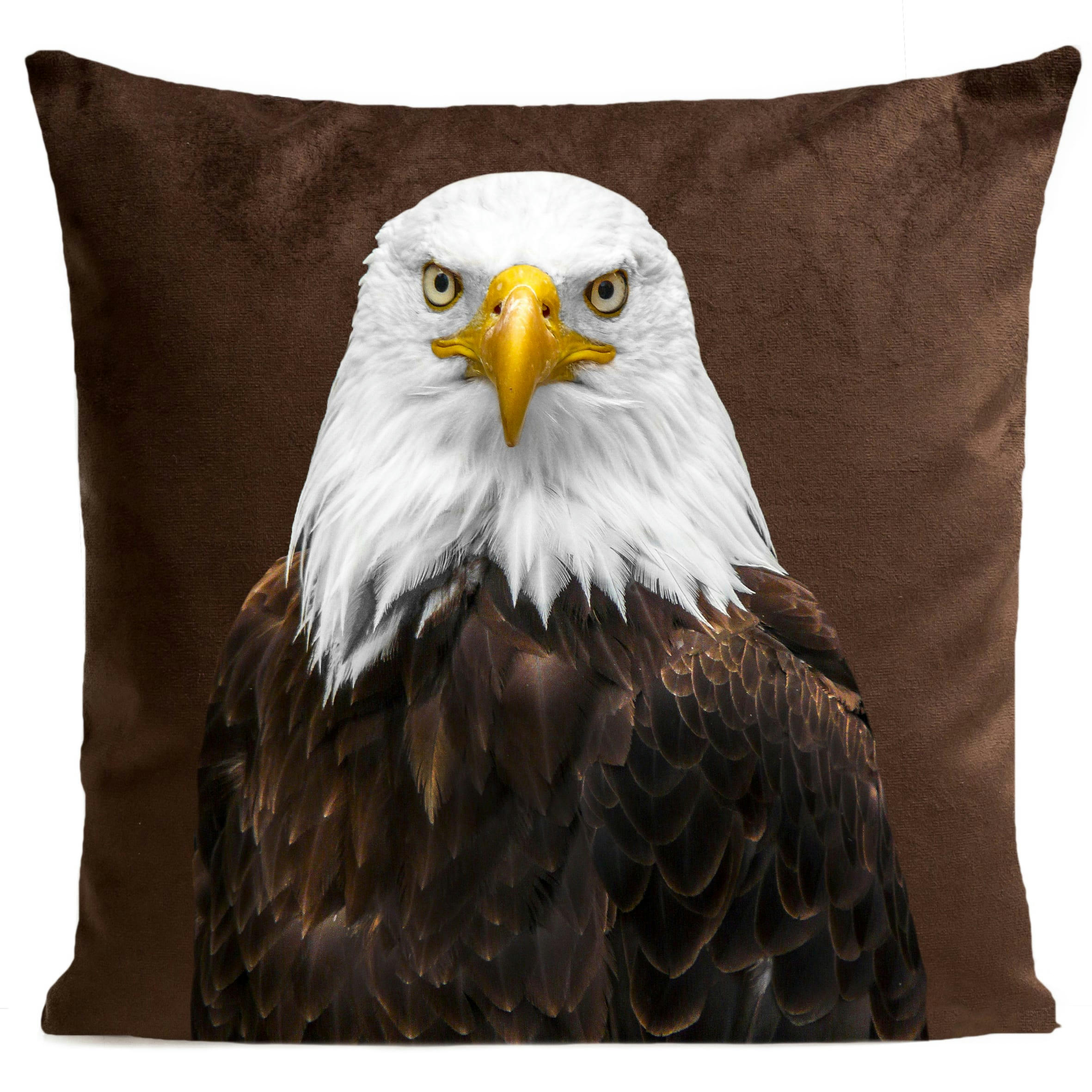 - Coussin oiseau aigle suédine marron 40x40cm
