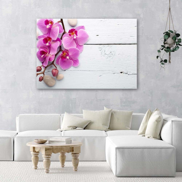 Feeby Obraz na płótnie Różowa orchidea i pąki 60x40