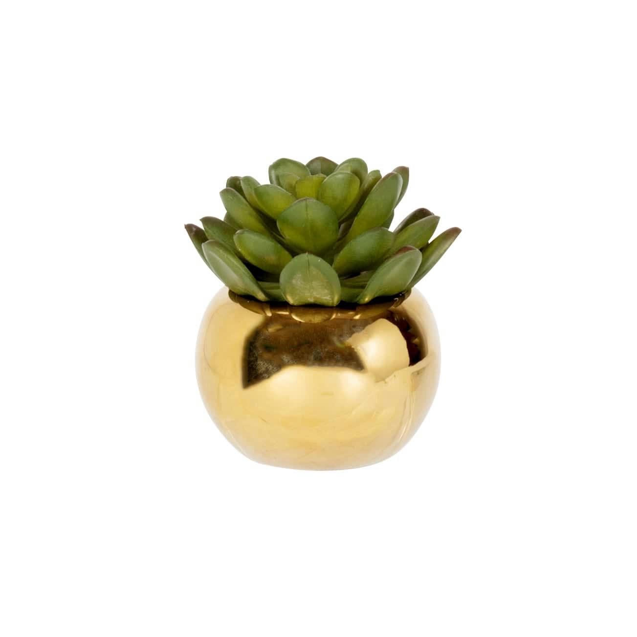 IZHA - Succulente artificielle verte et pot en grès doré