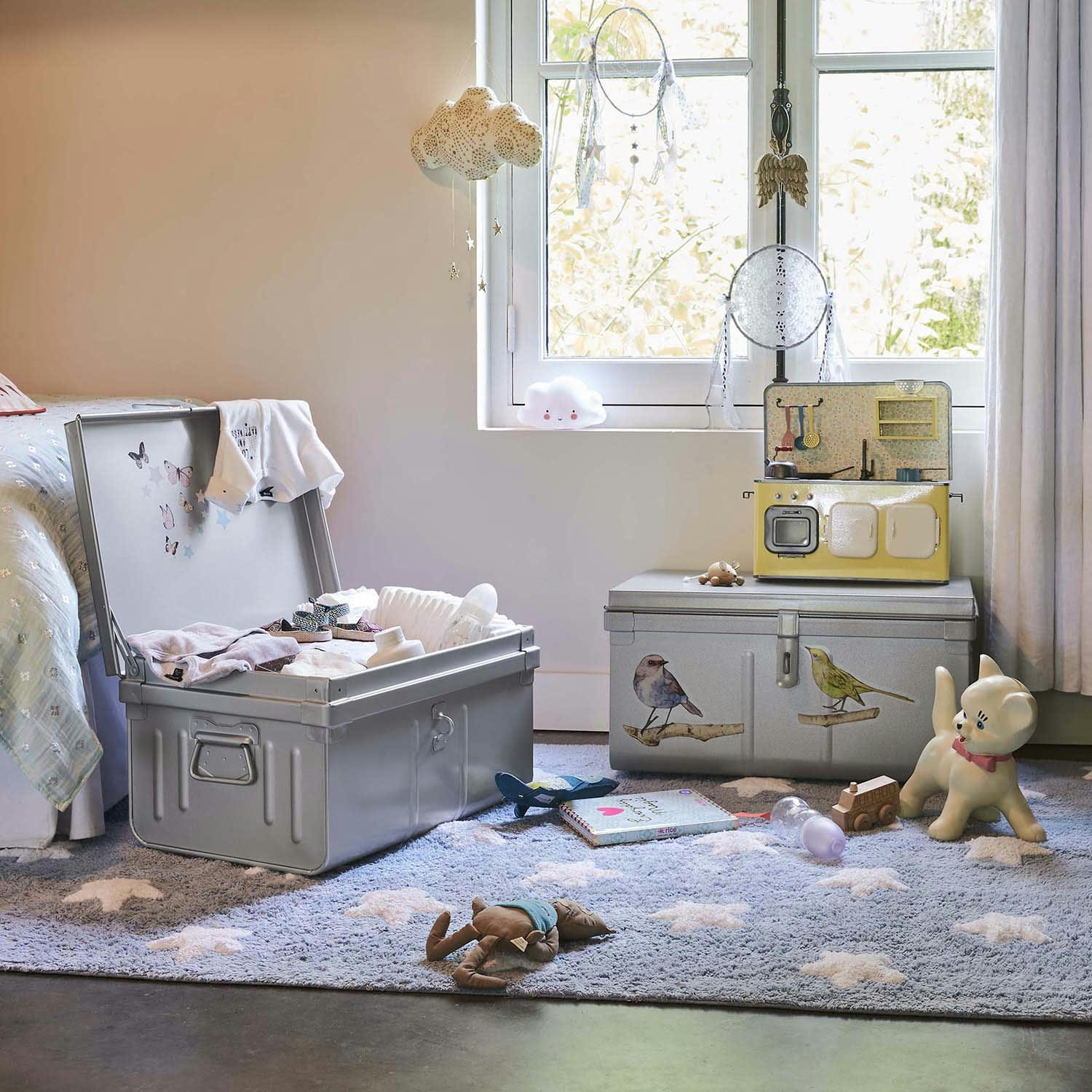 - Lot de 2 coffres en métal habitat alu