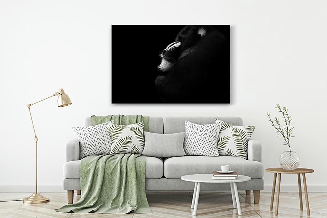 SONGE DE MANDRILL - Photographie d'art de Guillaume Mordacq  60x90 cm sur alu