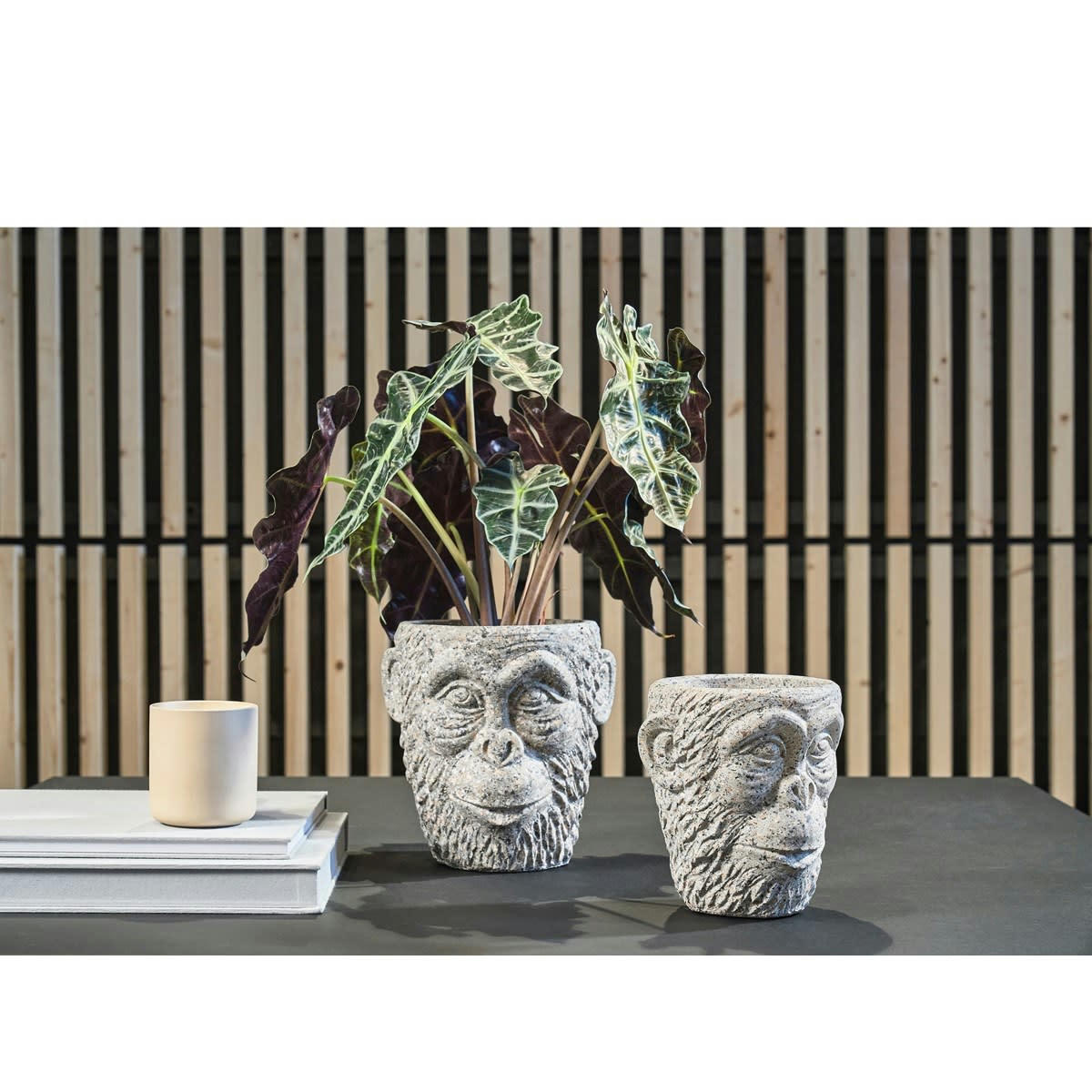 LIVING - Cache pot en béton gris