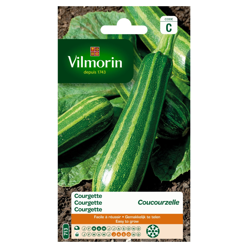 Semences de courgette Coucourzelle VILMORIN