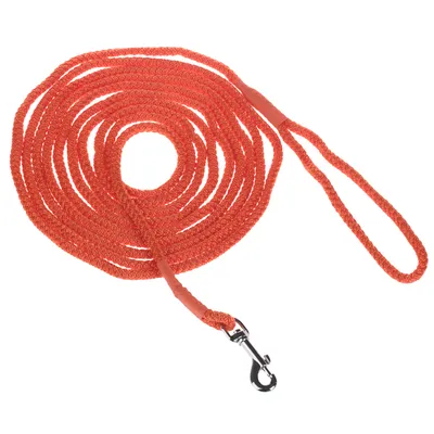 Heim Long Dog Training Lead - Orange