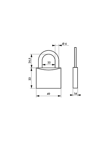 Lot de 2 cadenas Type1 , 40mm, anse acier, 2 clés/cadenas, s'entrouvrant avec la même clé - THIRARD