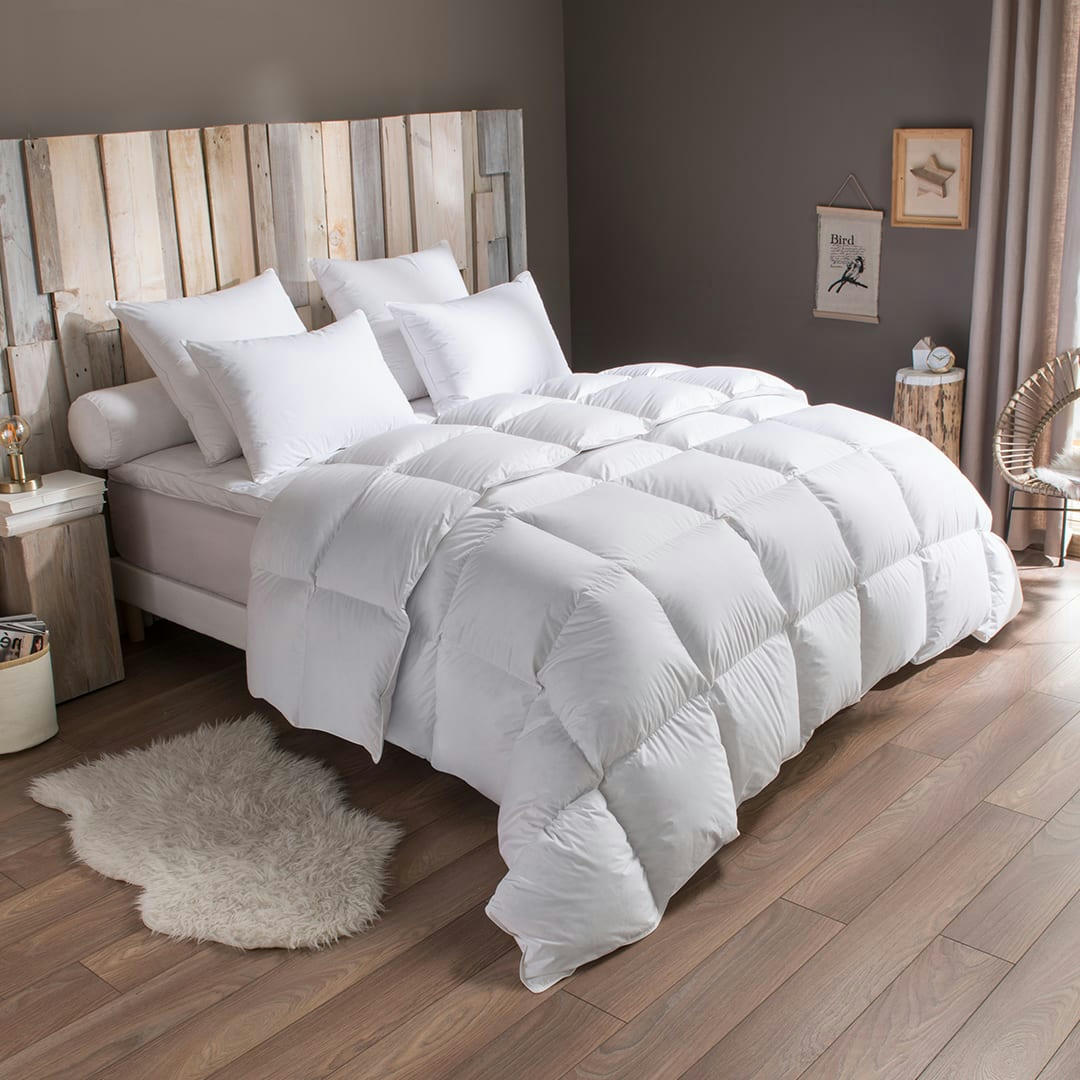 - Pack Duvet Couette chaude + Oreiller -50% duvet de canard 200x200 cm -