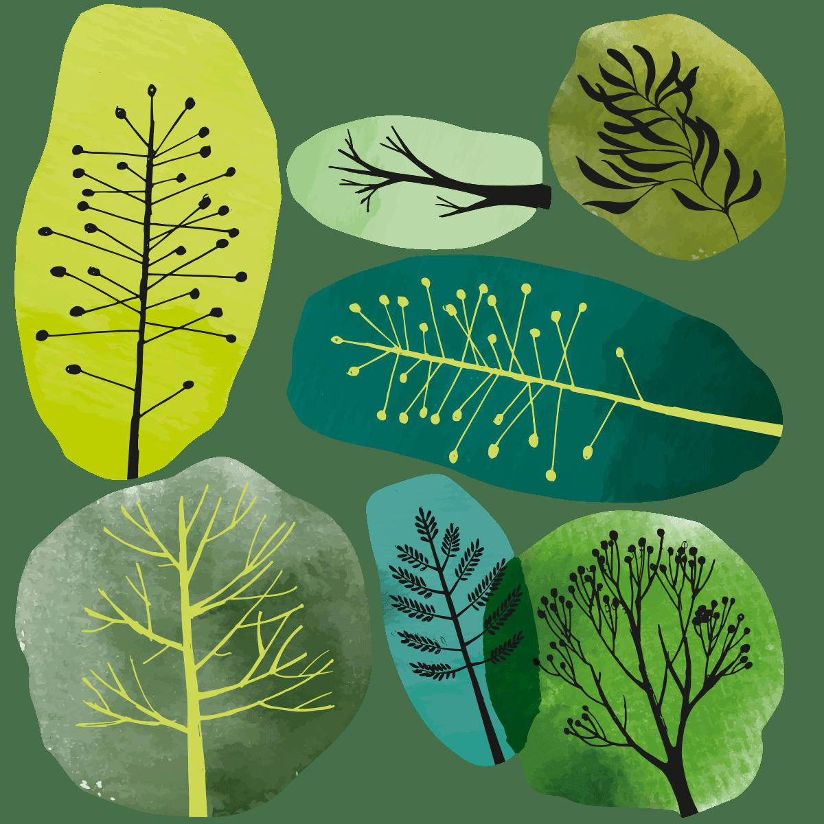 - Papier Peint nature arbres 65x60cm