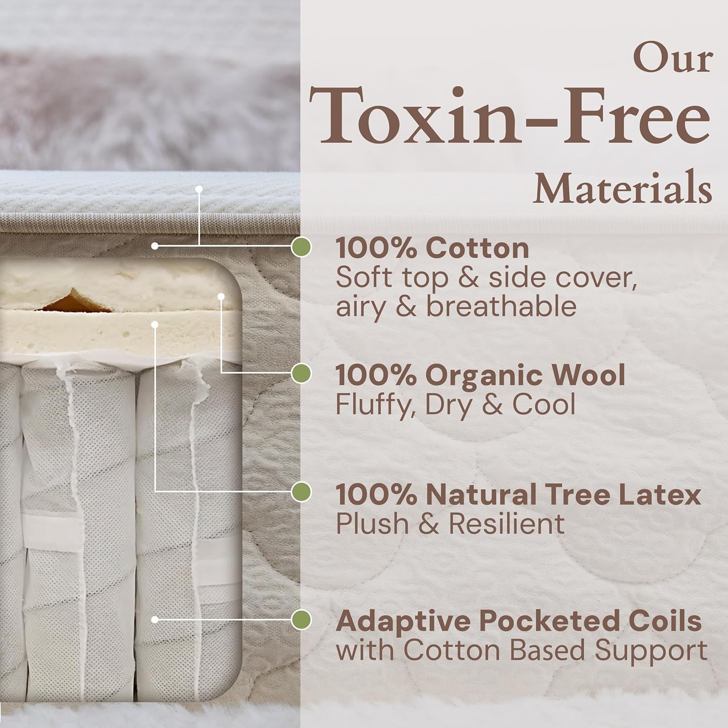 CottonSleep All Natural Mattress (100% Organic Cotton, Wool, & GOTS Latex, Made in The USA) Non Toxic, Fiberglass Free Hybrid Pocket Coil and Plush Foam Bed in A Box Medium Soft - Full, 13