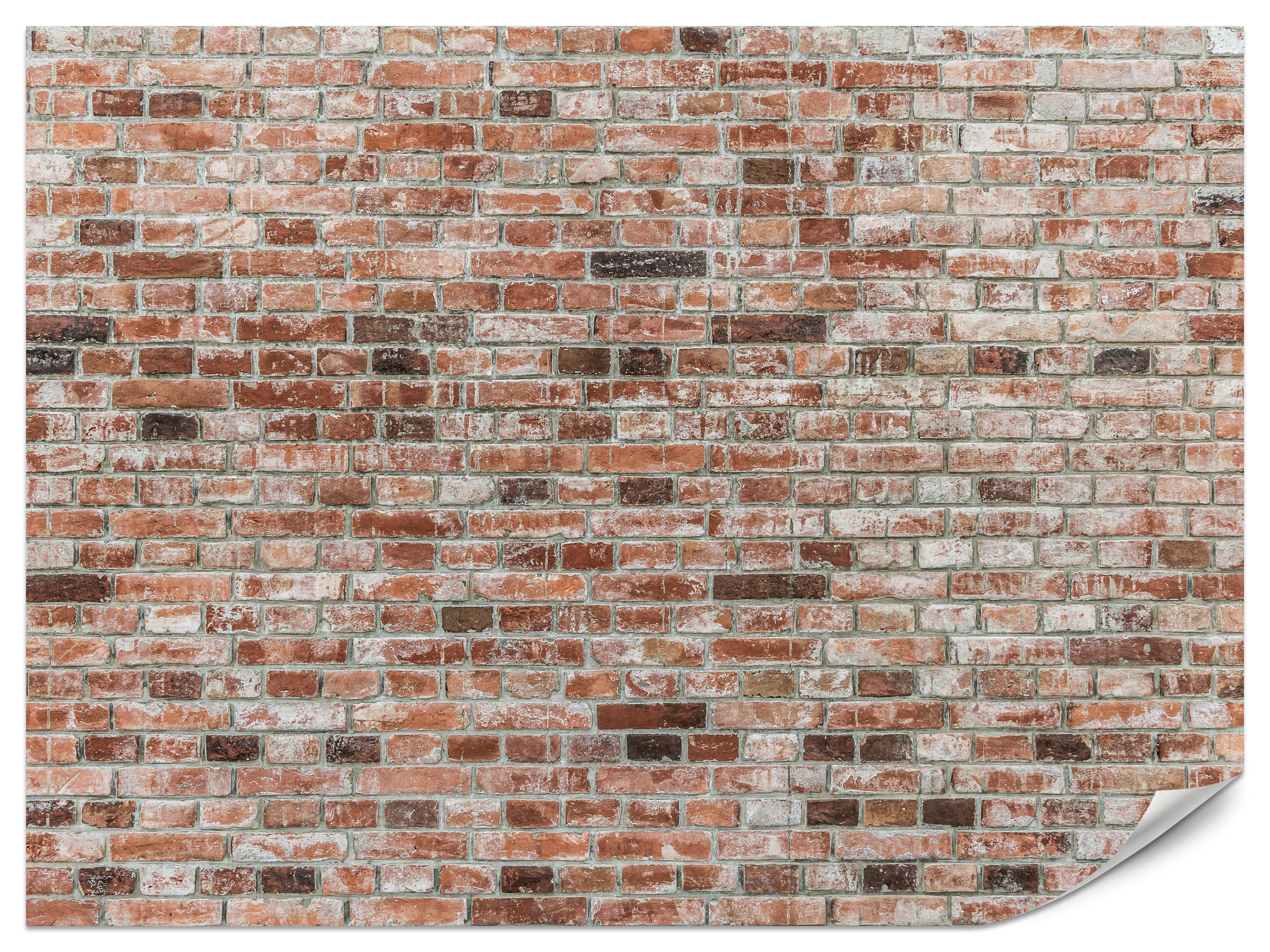 Fototapeta Ceglana ściana 100x70cm