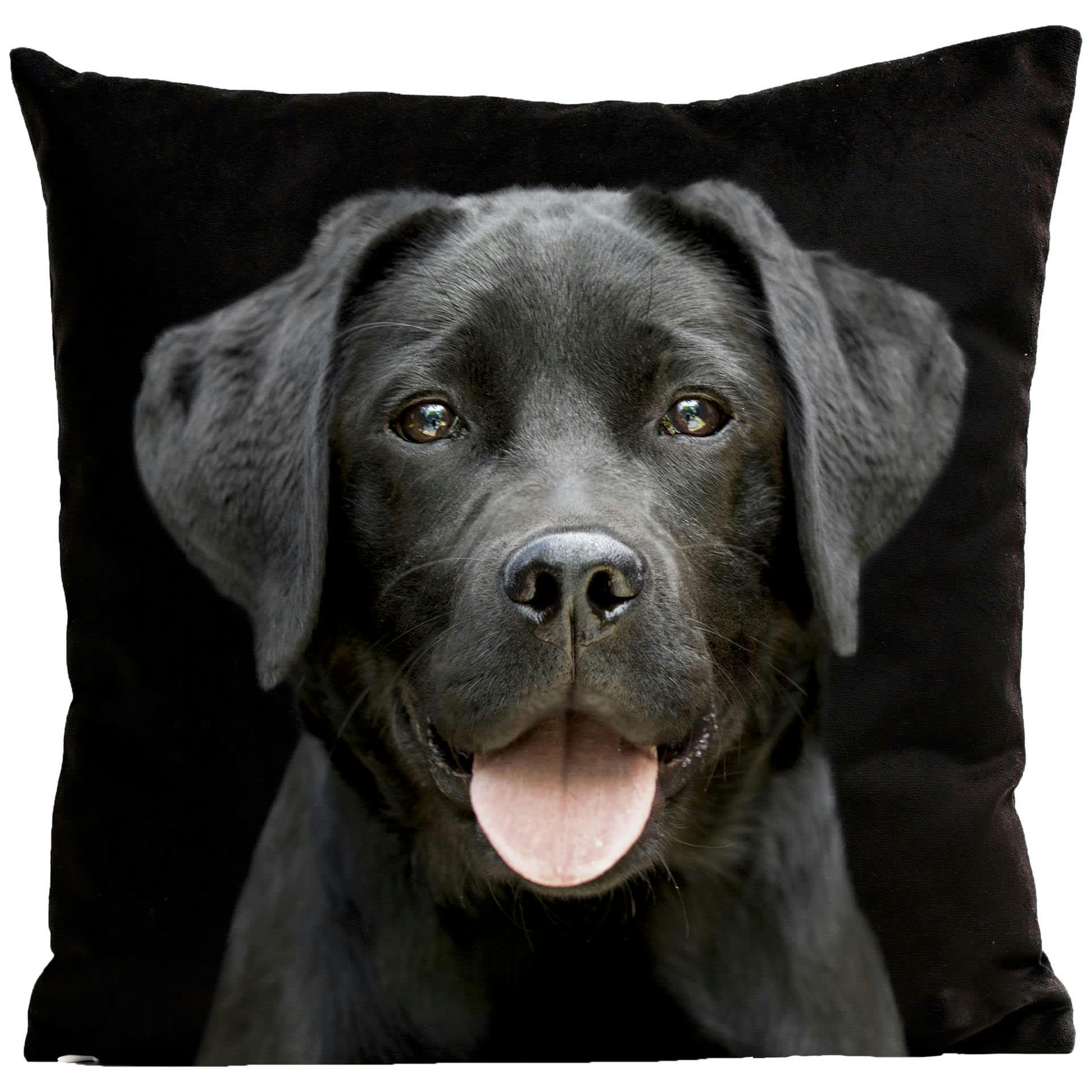 - Coussin chien labrador suédine noir 40x40cm