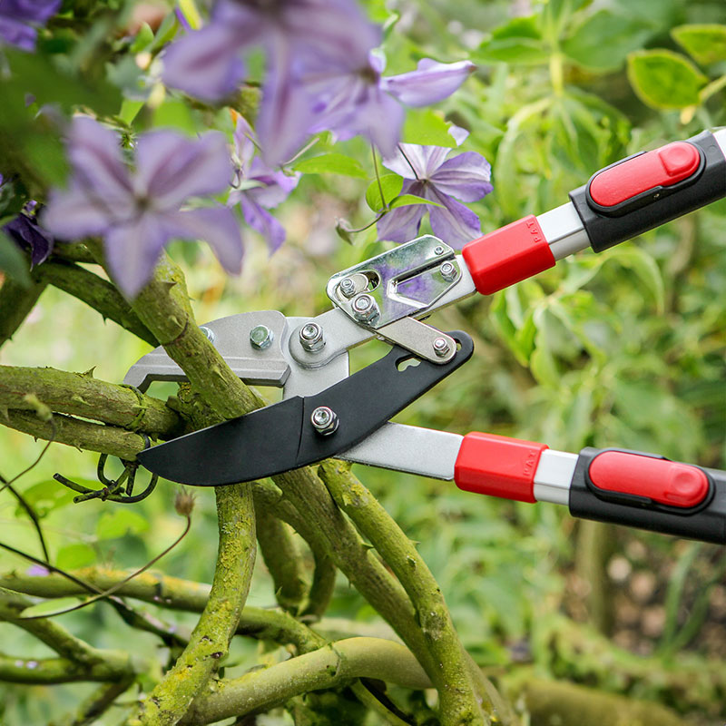 Sekatör, Ratchet lopper m. teleskop 50 mm