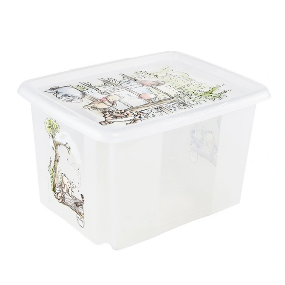 Aufbewahrungsbox »Karolina«, 30,0L 45x35x27 cm transparent