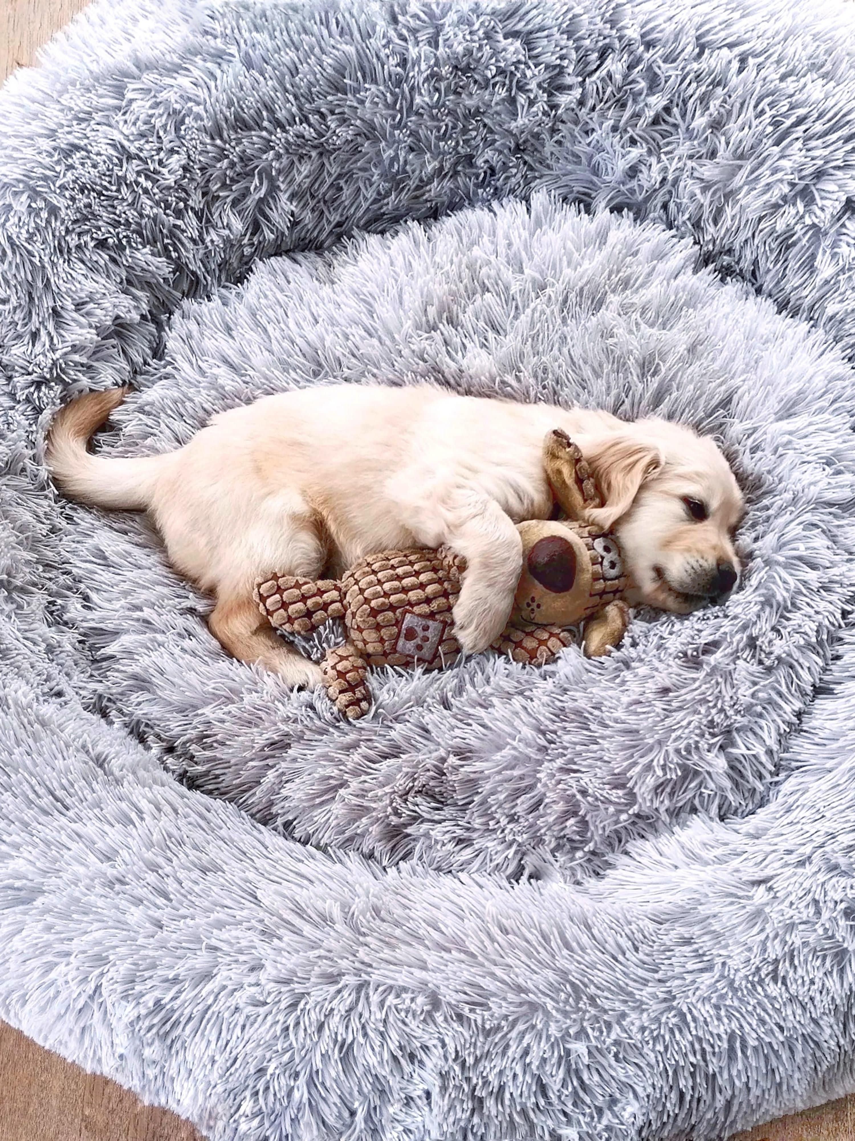 Haustierbett Fluffy aus Teddy, in verschiedenen Größen