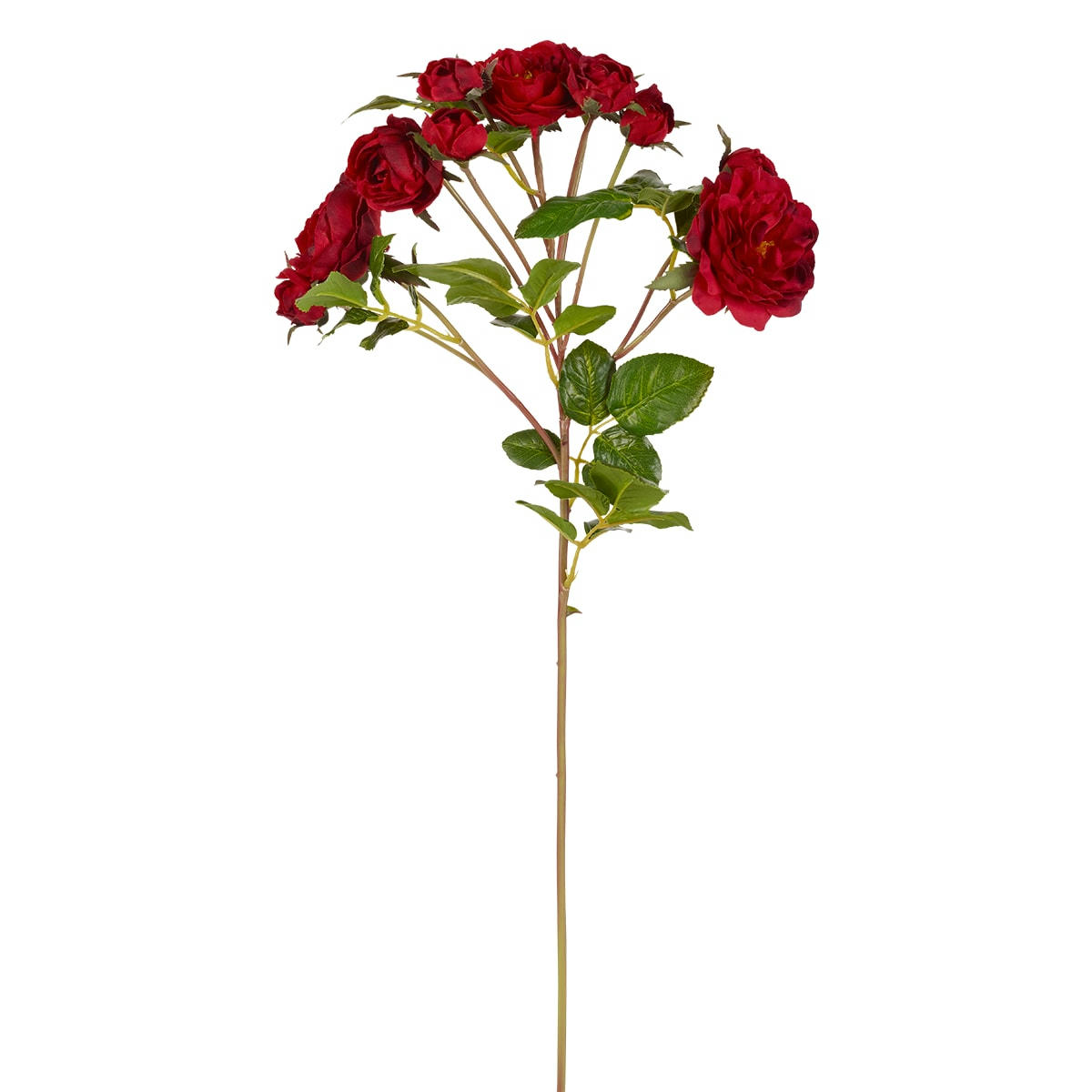 TEA - Tige de roses ouvertes Tea