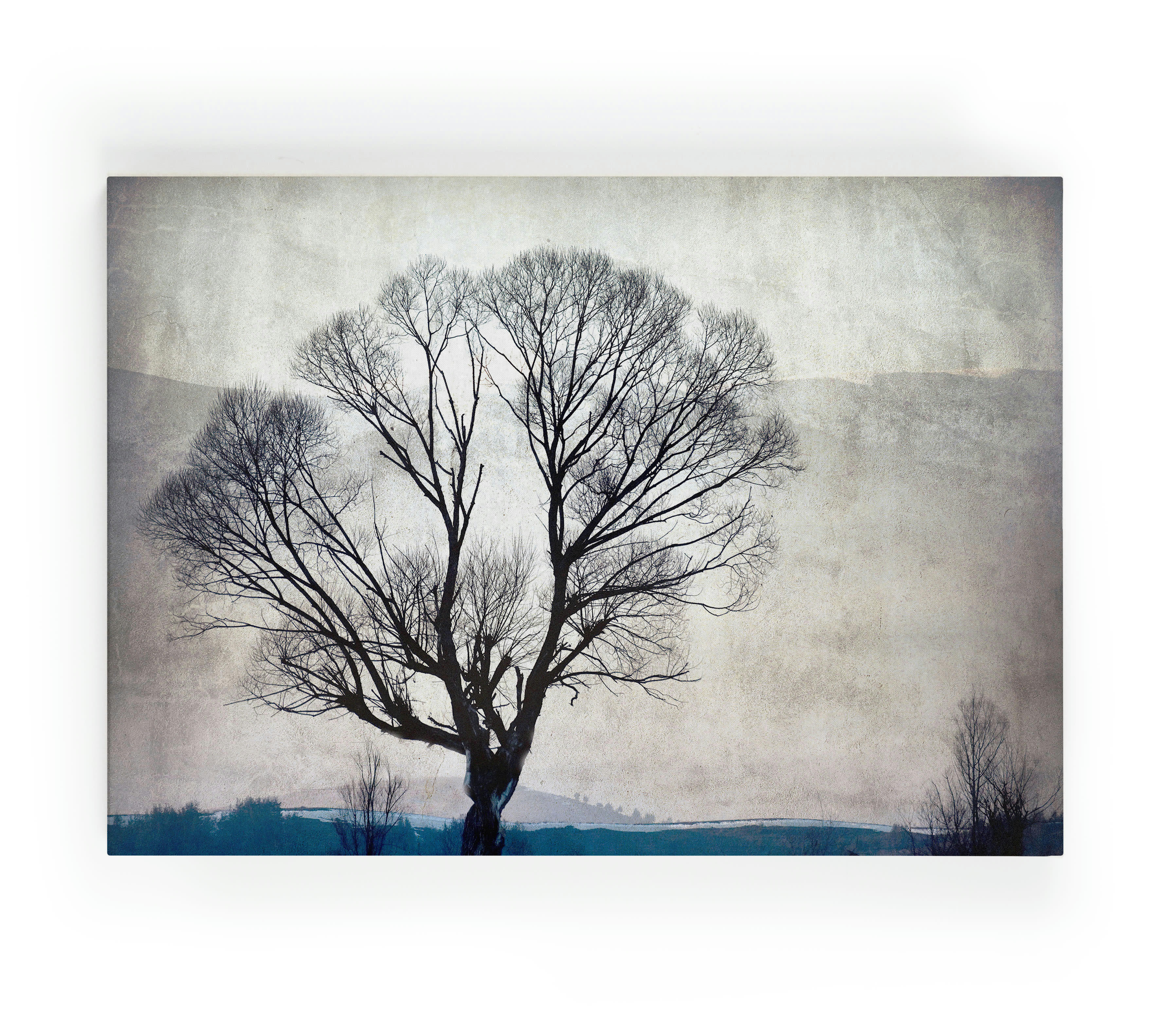 TREE - Peinture sur toile 60x40 imprimé HD arbre