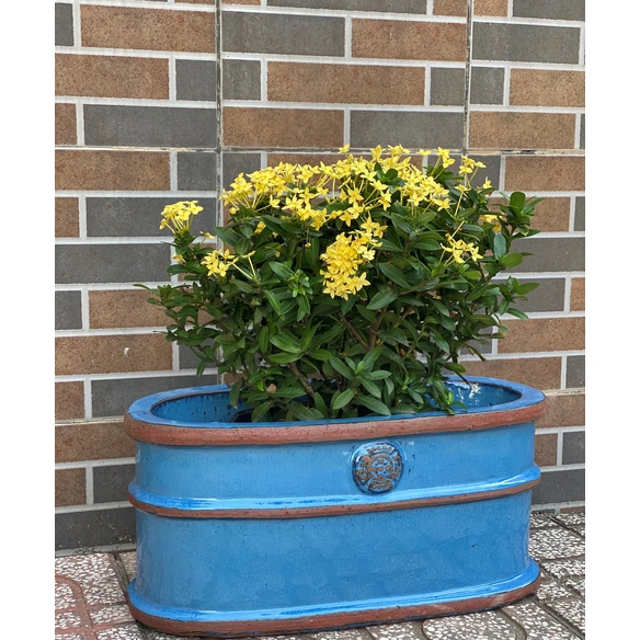 Pflanzgefäß, Keramik, hellblau/braun, oval