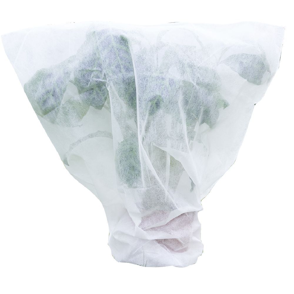 Voile d'hivernage blanc 2x5m 30g/m&sup2;