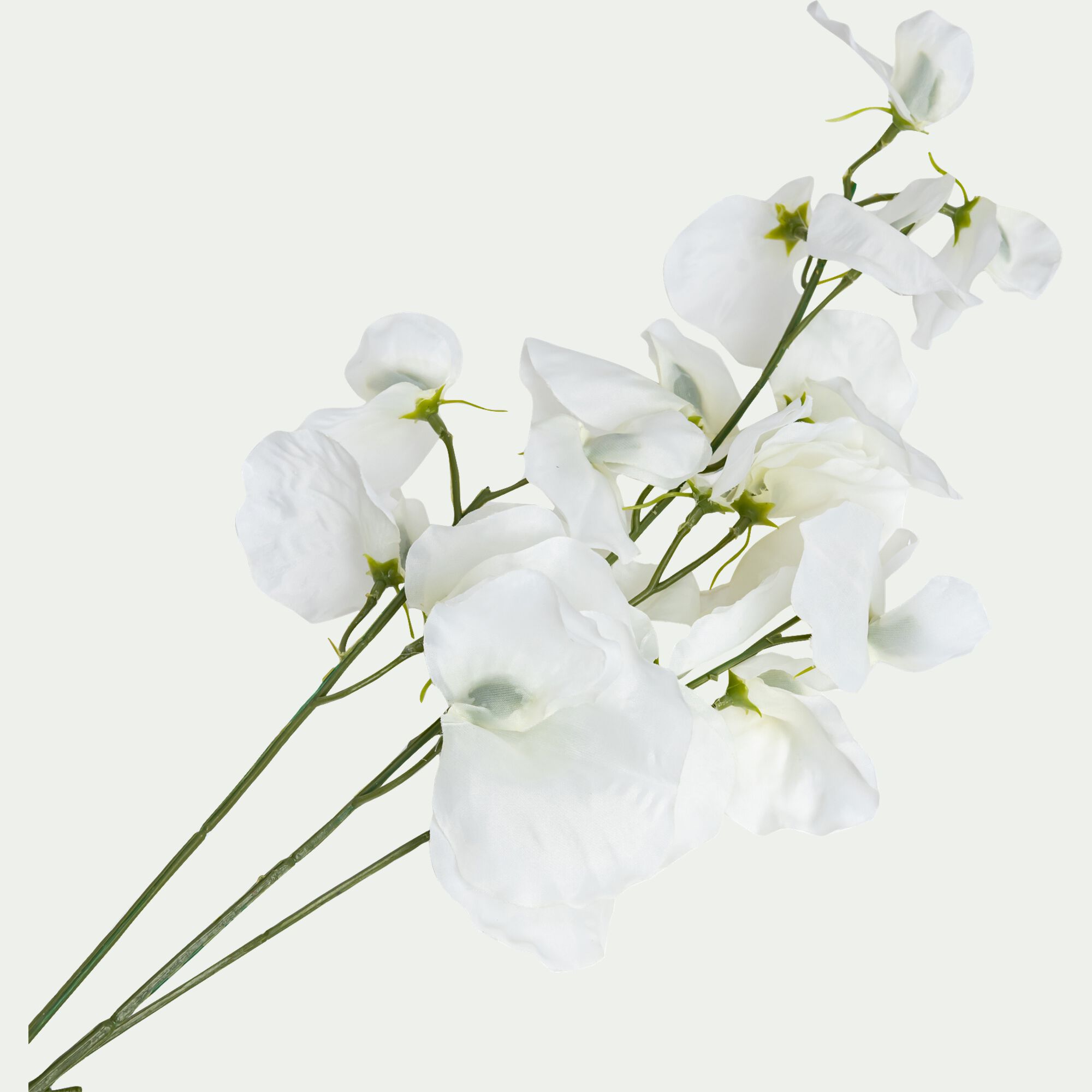MEYLI - Branche de lathyrus artificielle H75cm - blanc