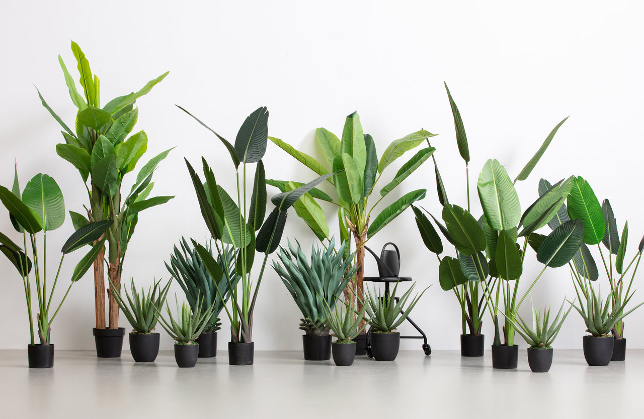 WOOOD Strelitzia Kunstplant - Groen - 96x164x63