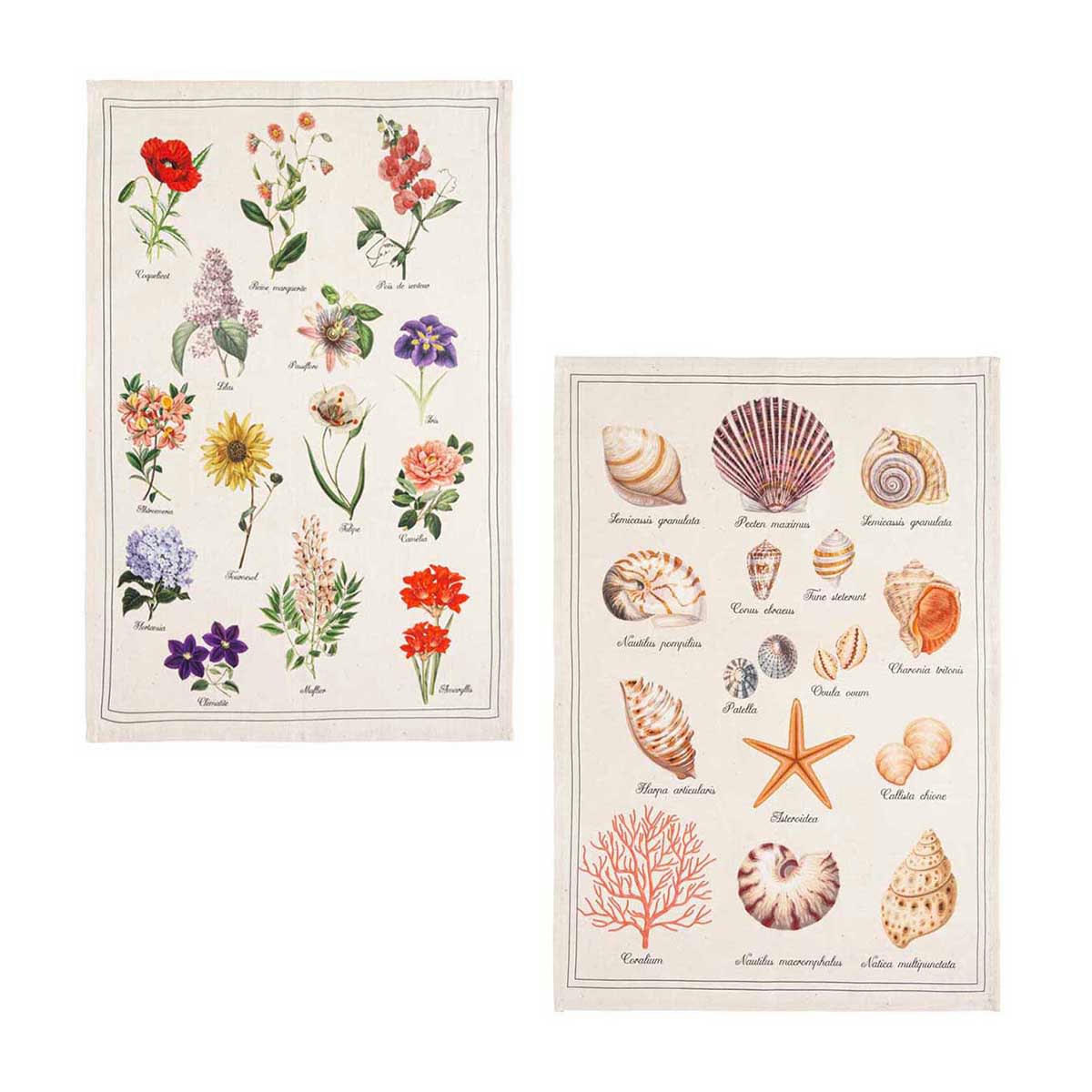 HERBIER - Lot de 2 torchons en métis multicolore 50x75