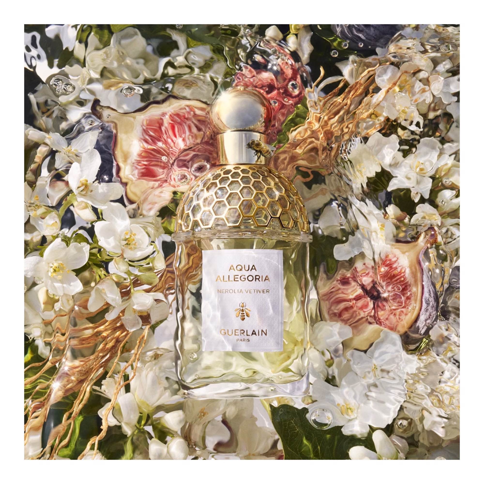 AQUA ALLEGORIANerolia vetiver