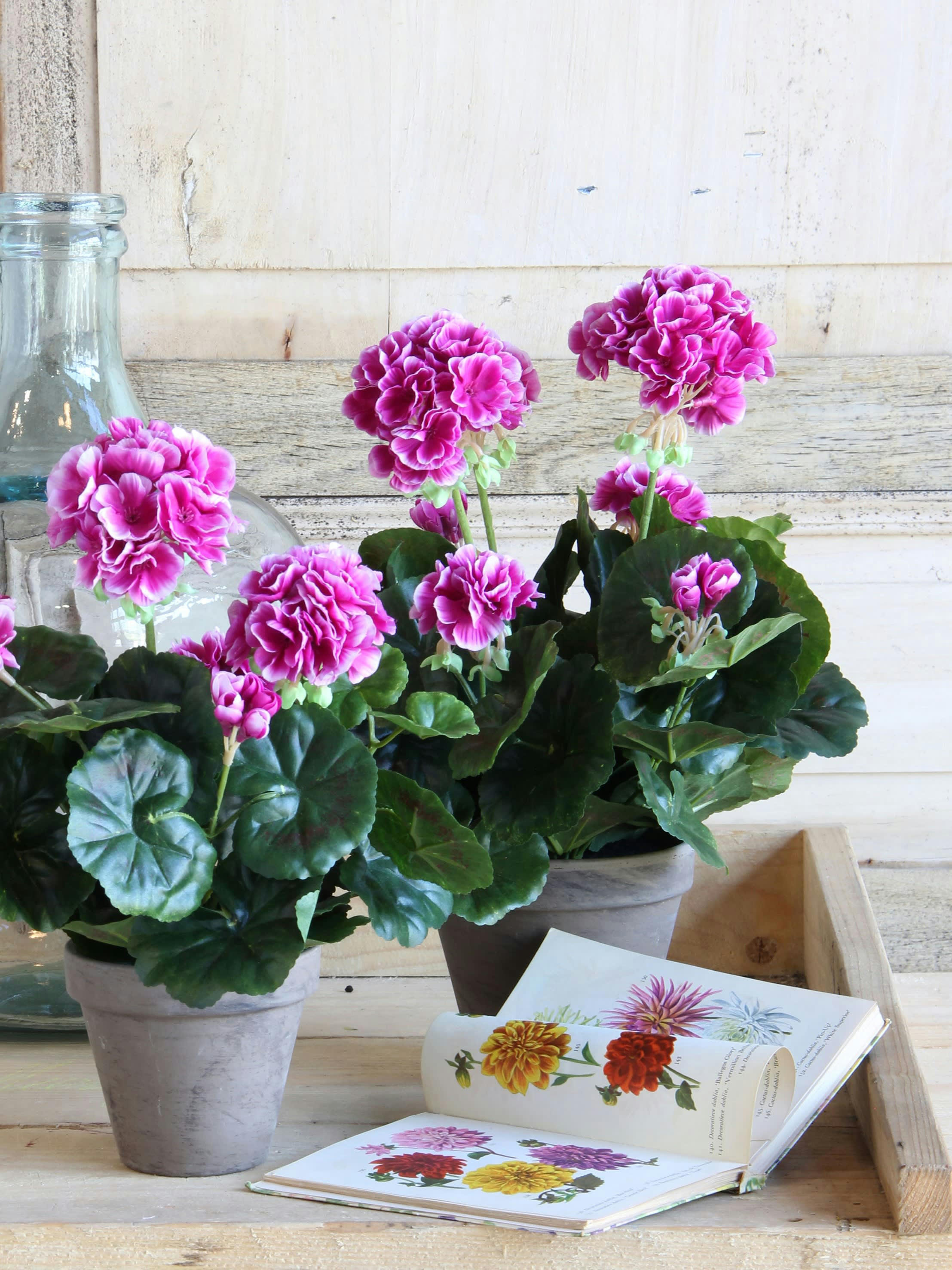 - Géranium artificielle violet en pot H34