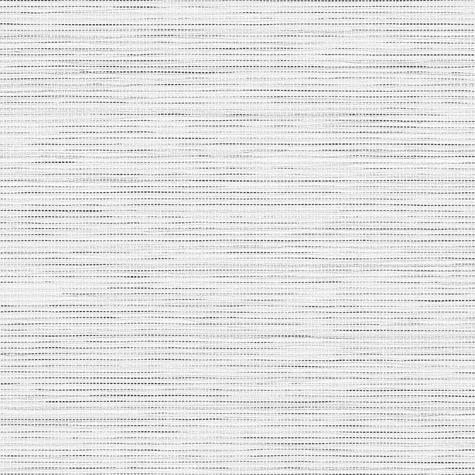 Fenstr rolgordijn Pisa transparant - wit (10027)