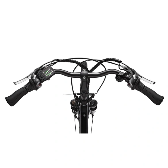E-Bike »XT480 Expedition«, 28 Zoll, RH: 48 cm, 21-Gang