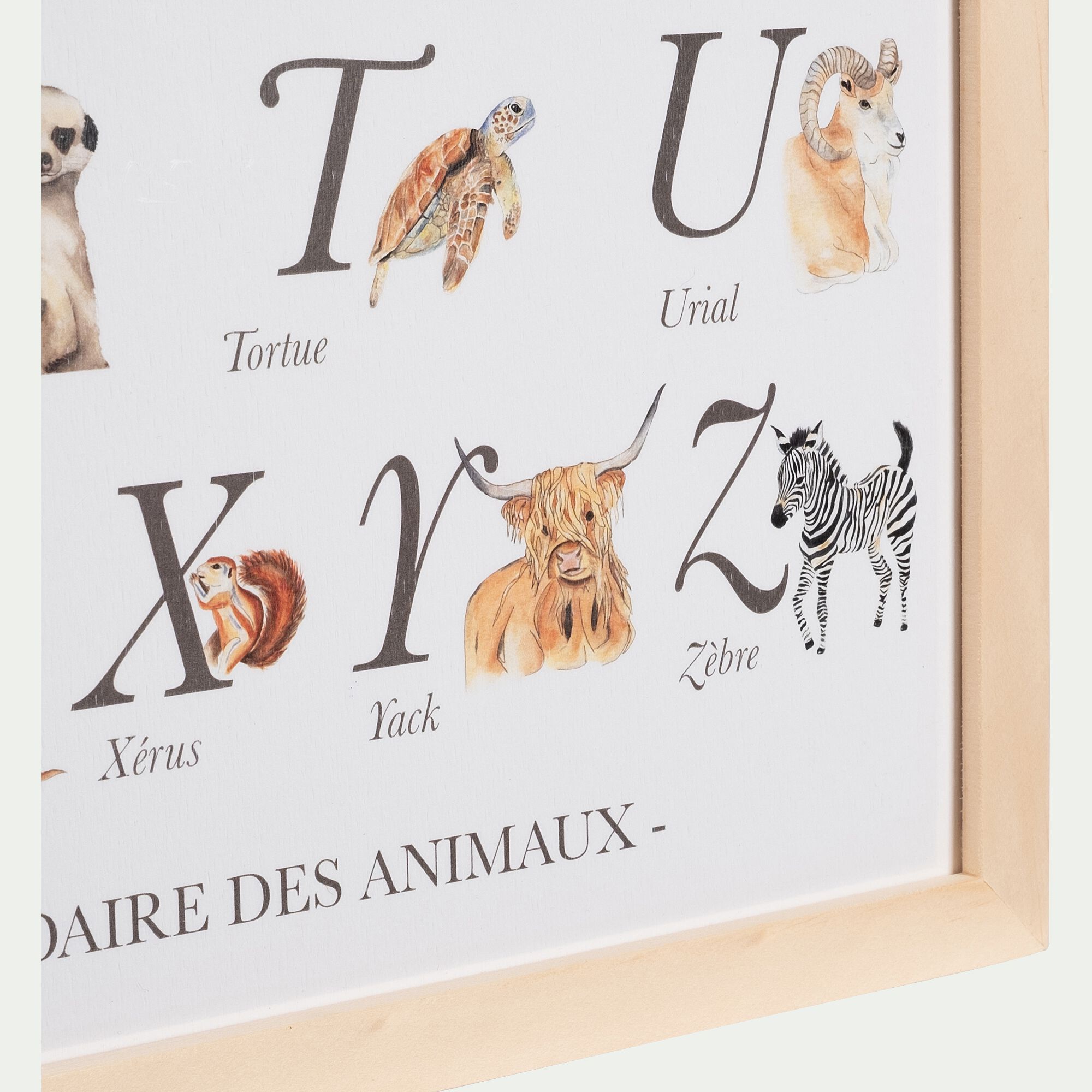 ABC - Abécédaire illustré et encadré A3