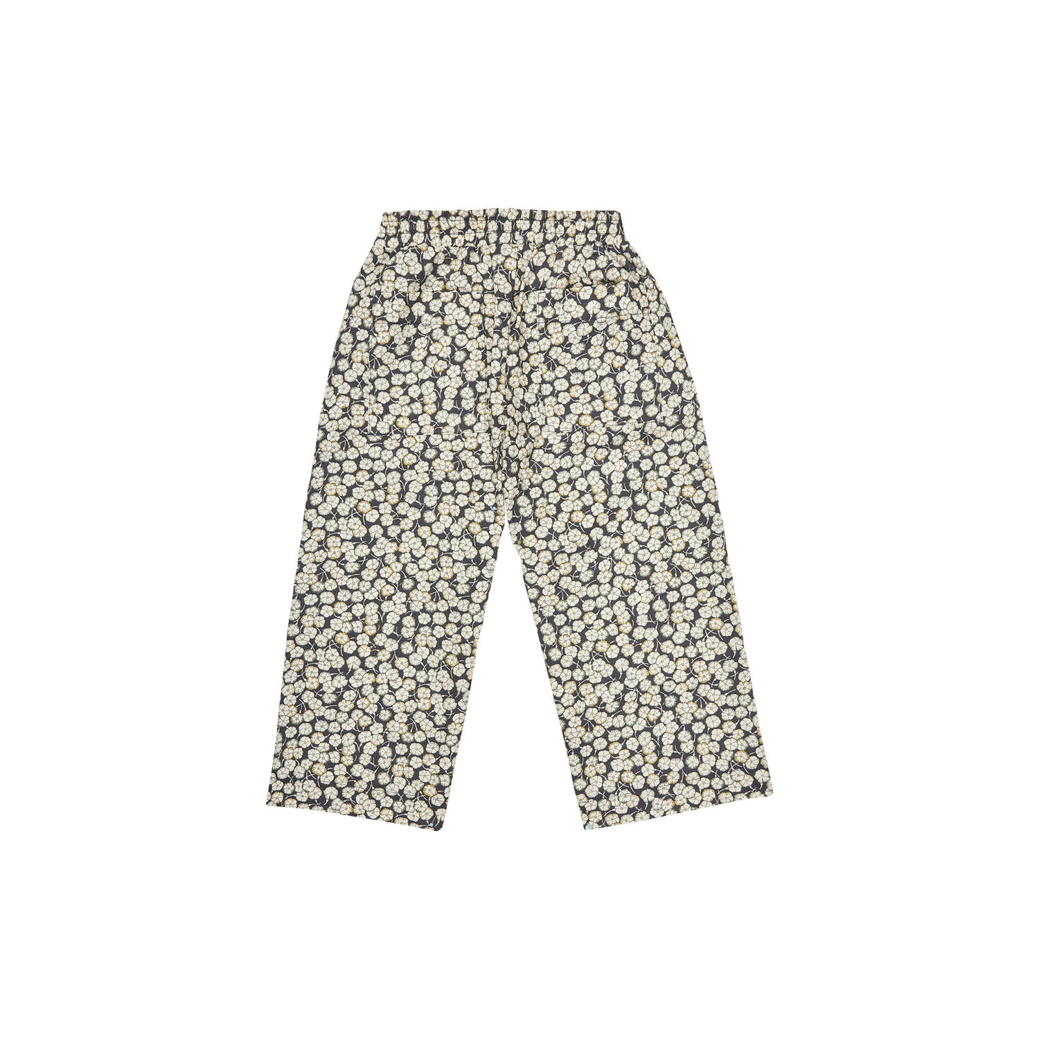 Frankie Pants, snow flower