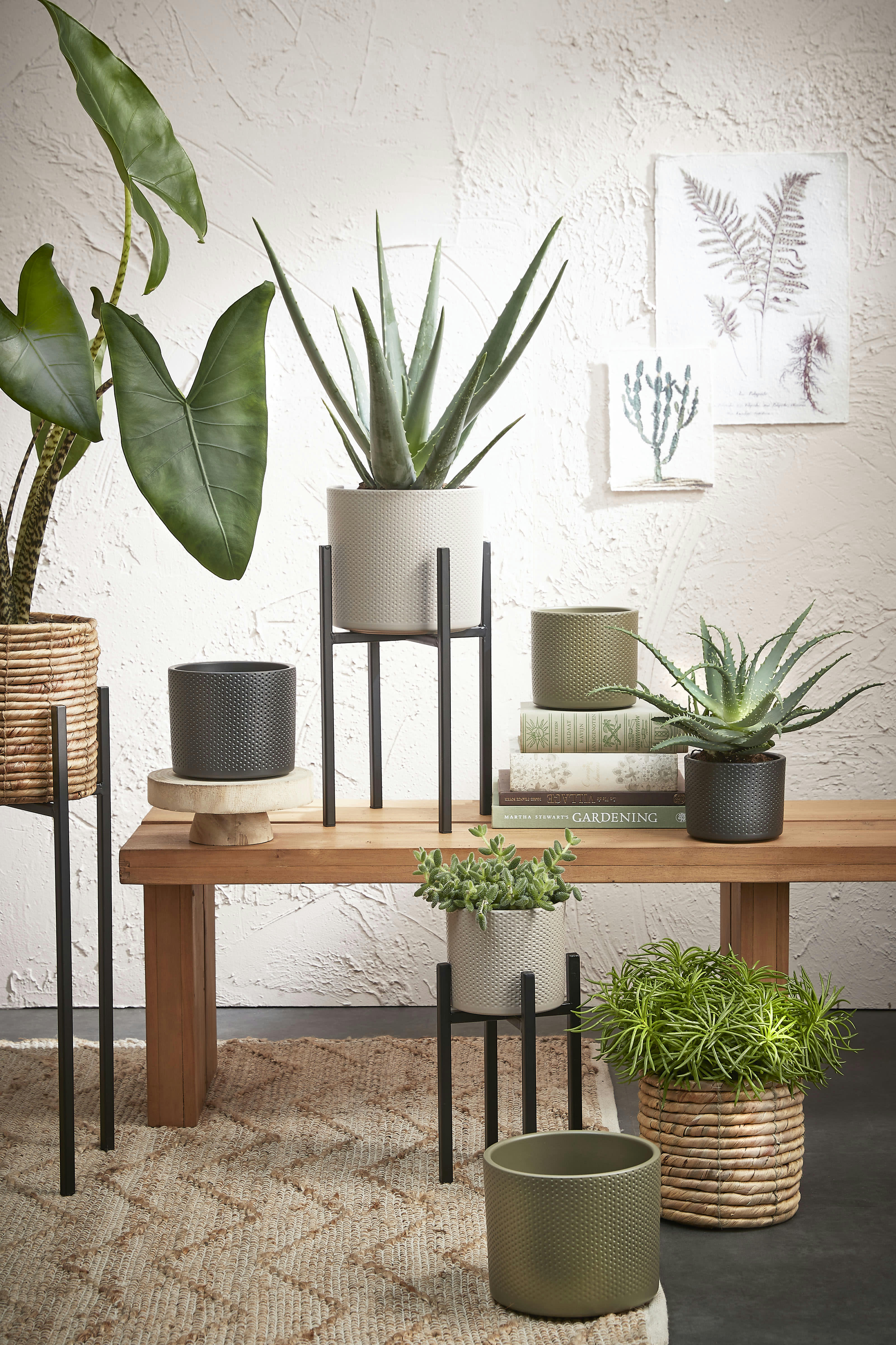 ASCOT - Porte-plante en métal noir H55