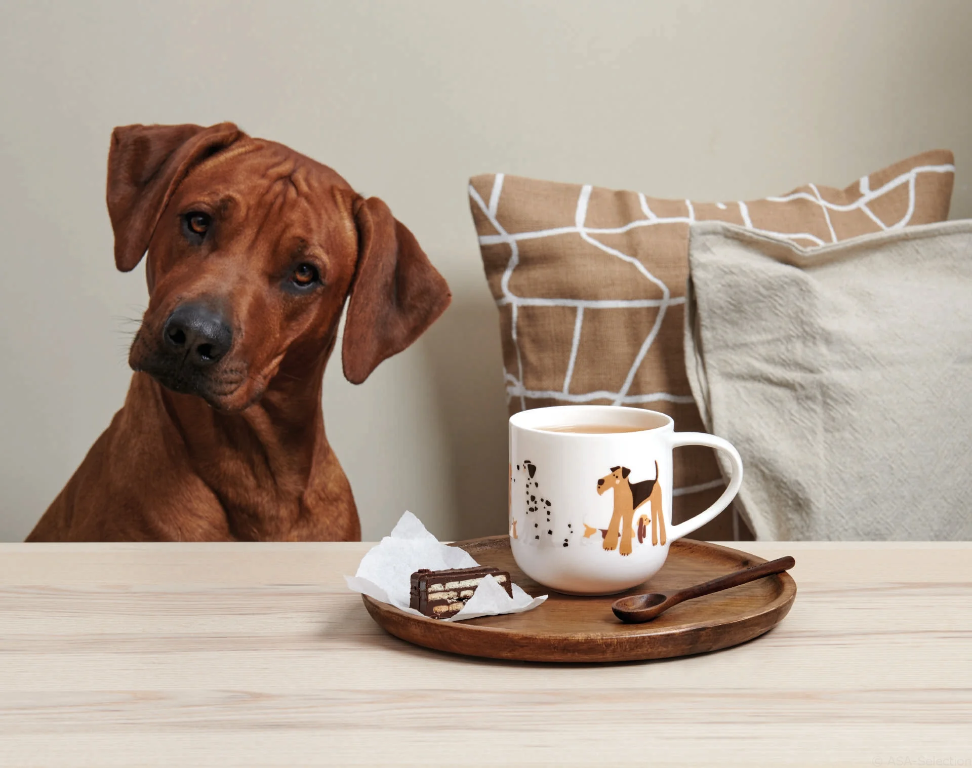 henkelbecher, basset hound