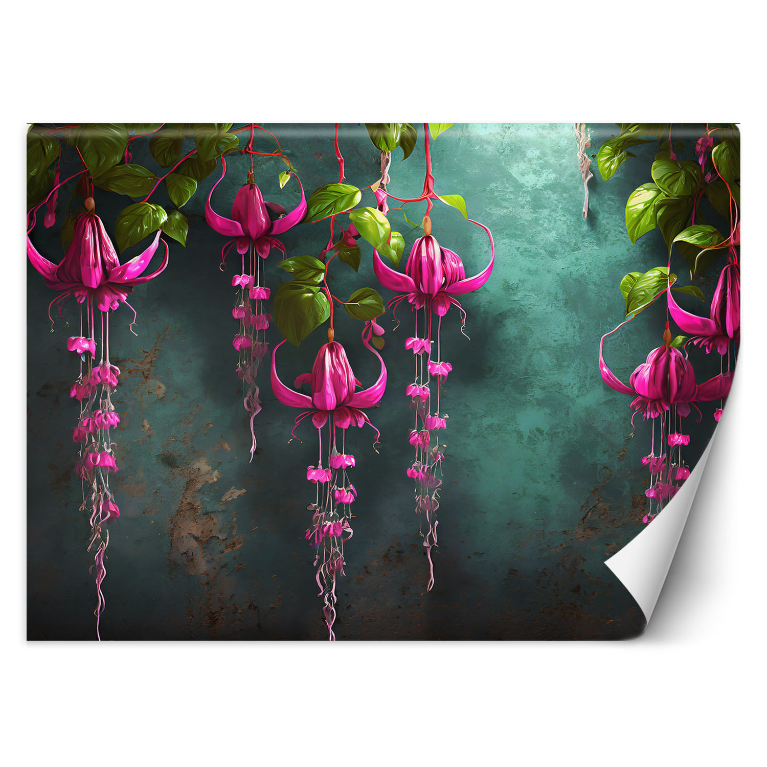 Feeby Fototapeta, Zwisające kwiaty wisteria 150x105