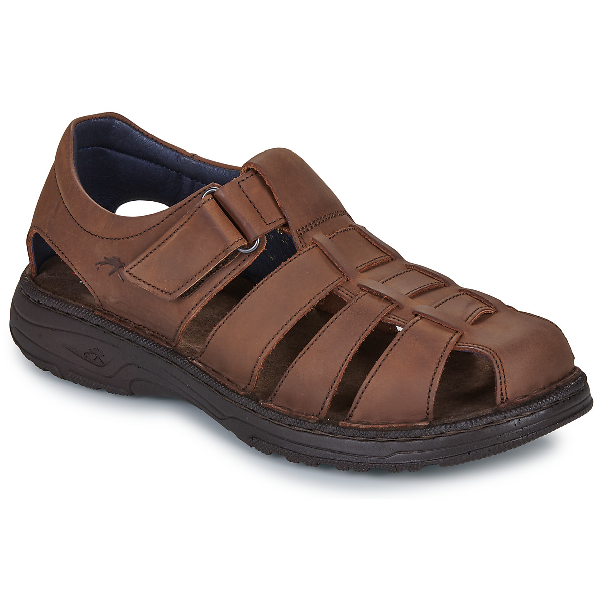 Fluchos - AZORES - Brown