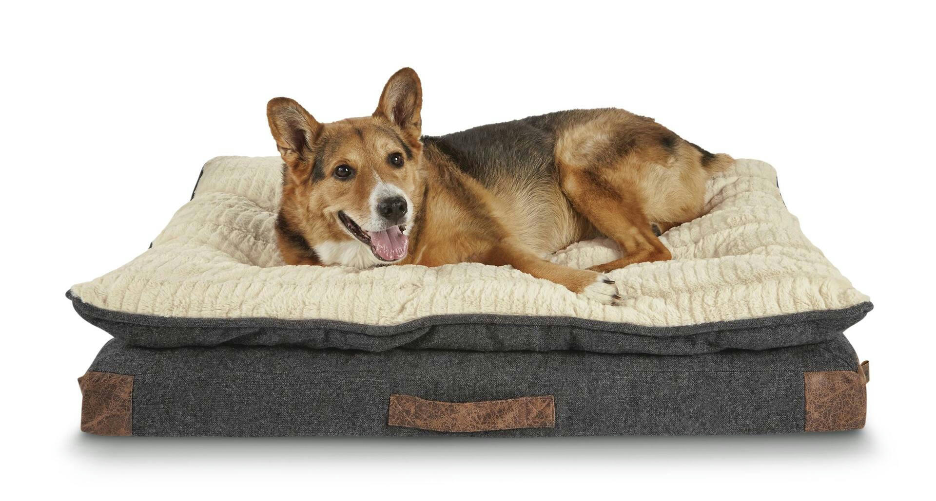 Petco Pillowtop Lounger Orthopedic Plush Dog Bed, Washable, 40-in x 30-in, Grey
