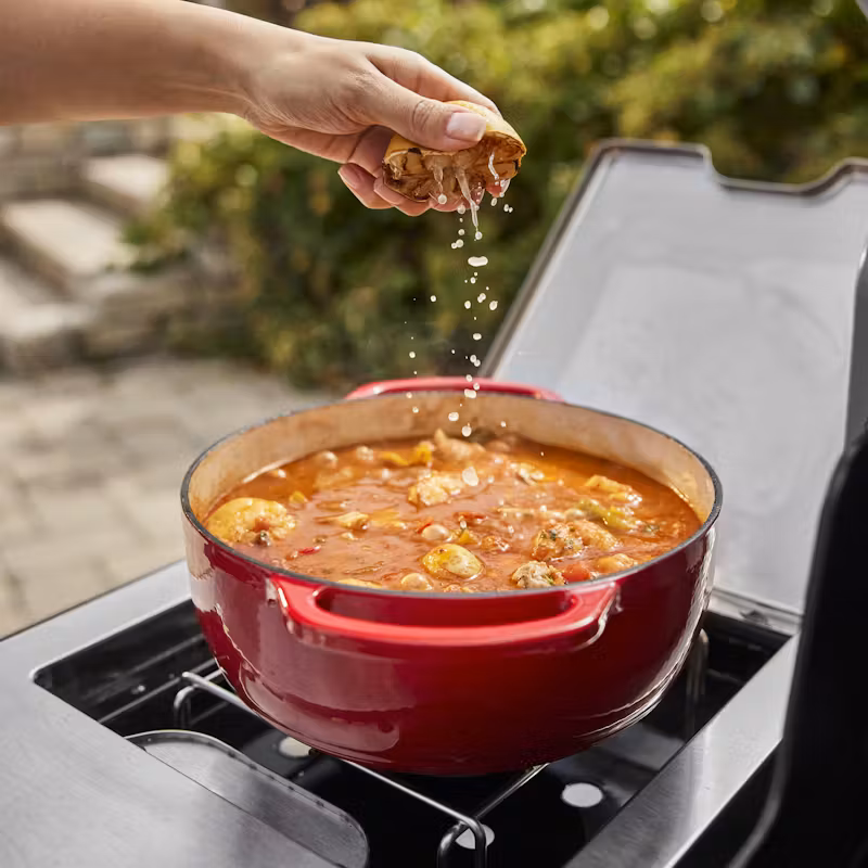 Weber Summit® FS38 E Gas Grill (Liquid Propane)